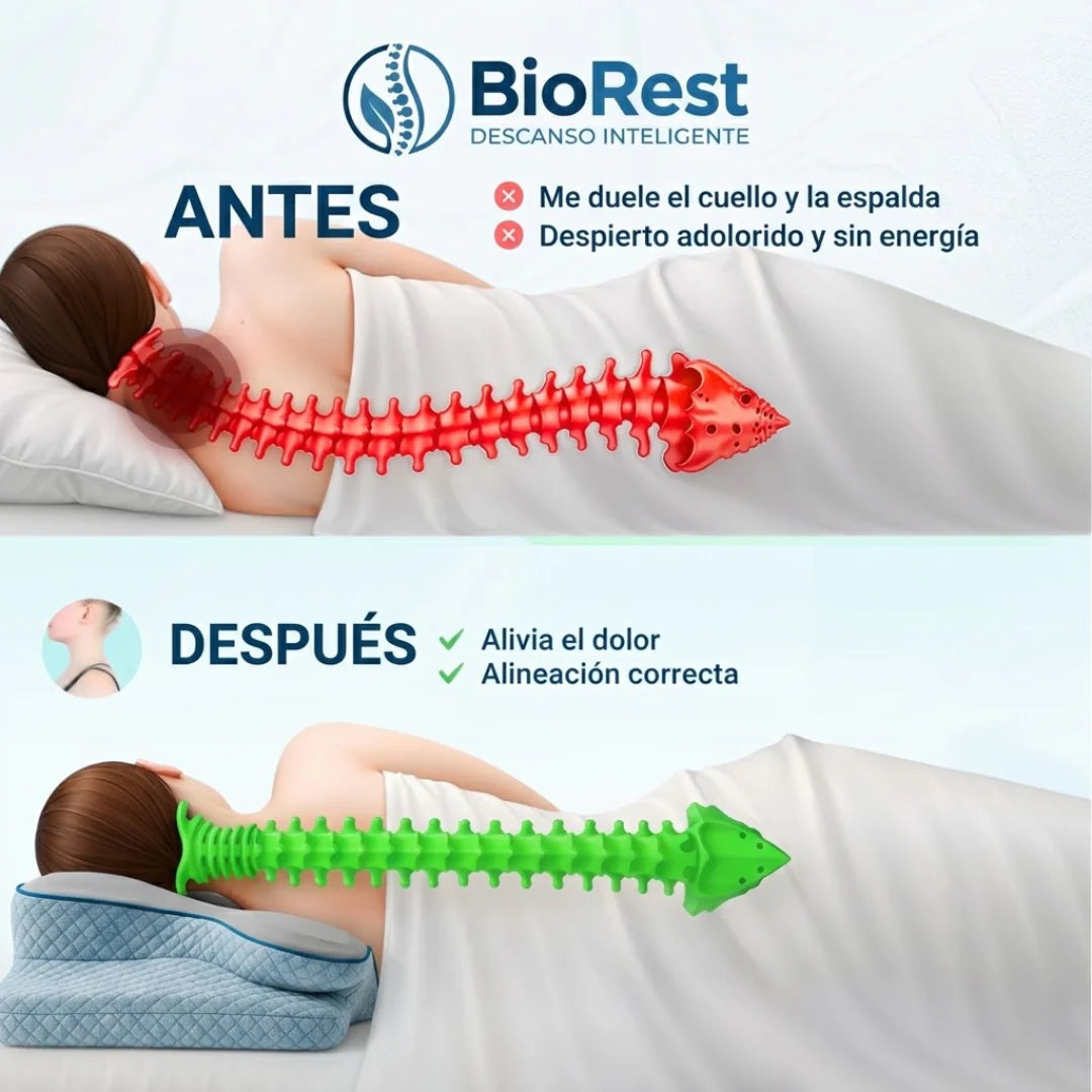 Almohada cervical - Biorest™